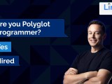 What Is Polyglot And Hyperpolyglot In Programming