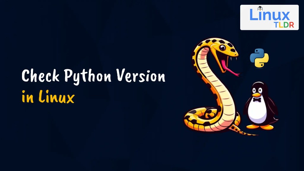 How to Check Python Version in Linux (via 3 Methods)