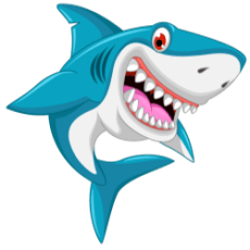 Great White Shark Zeichnen Linie Kunst Clipart Haie Png Herunterladen 1600 1104 Kostenlos Transparent Hai Png Herunterladen