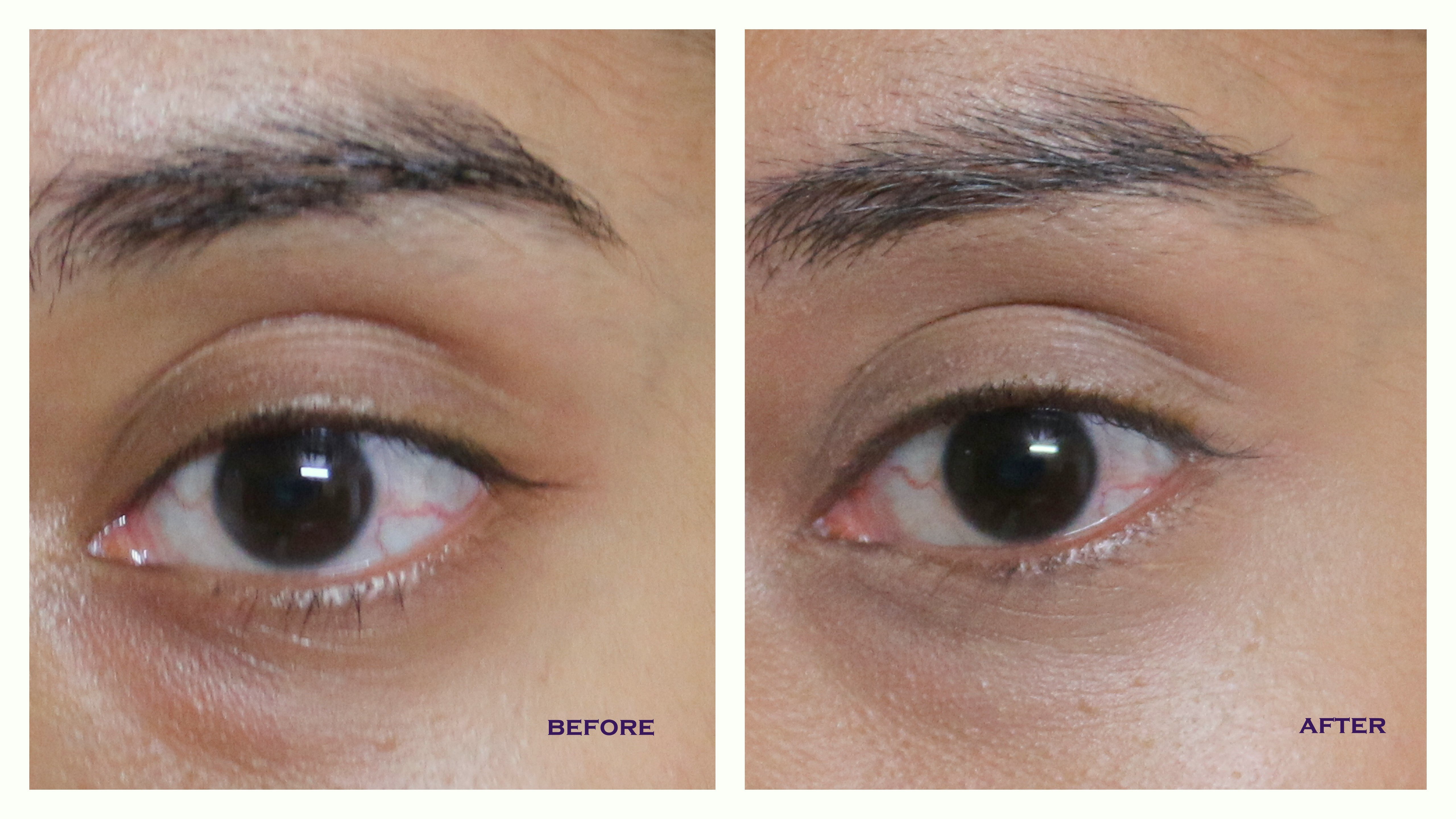 WET N WILD Photo Focus Concealer – Light/Med Beige, Selbstie-getestet Für Perfekte Deckkraft