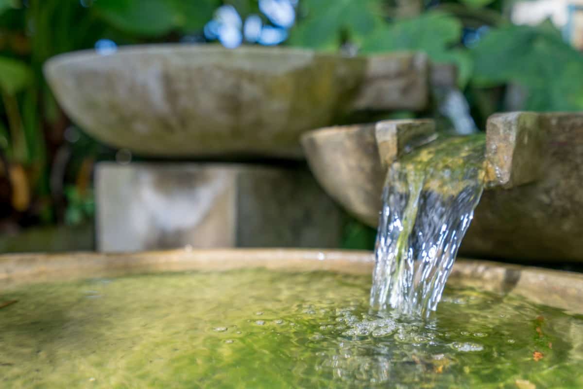 Guide: how to keep an indoor fountain clean