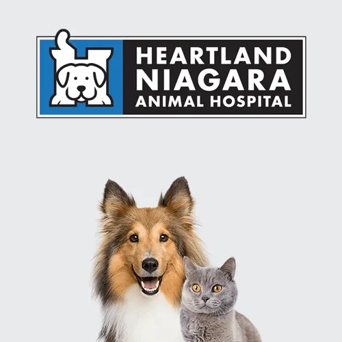 Vet clinic in niagara falls and thorold, on