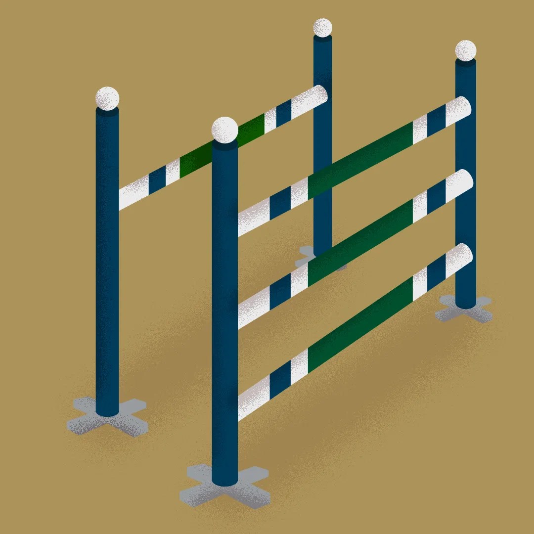 Types Of Showjumping Jumps A Visual Guide Types Of Showjumping Jumps A Visual Guide