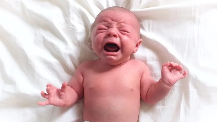 Crying newborn baby before soothing techniques – Soothe Your Newborn in Sarasota FL