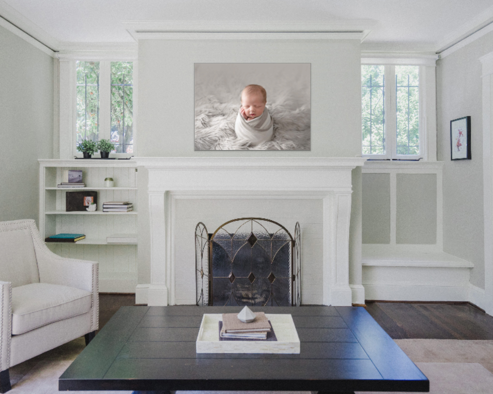 sarasota newborn photographer