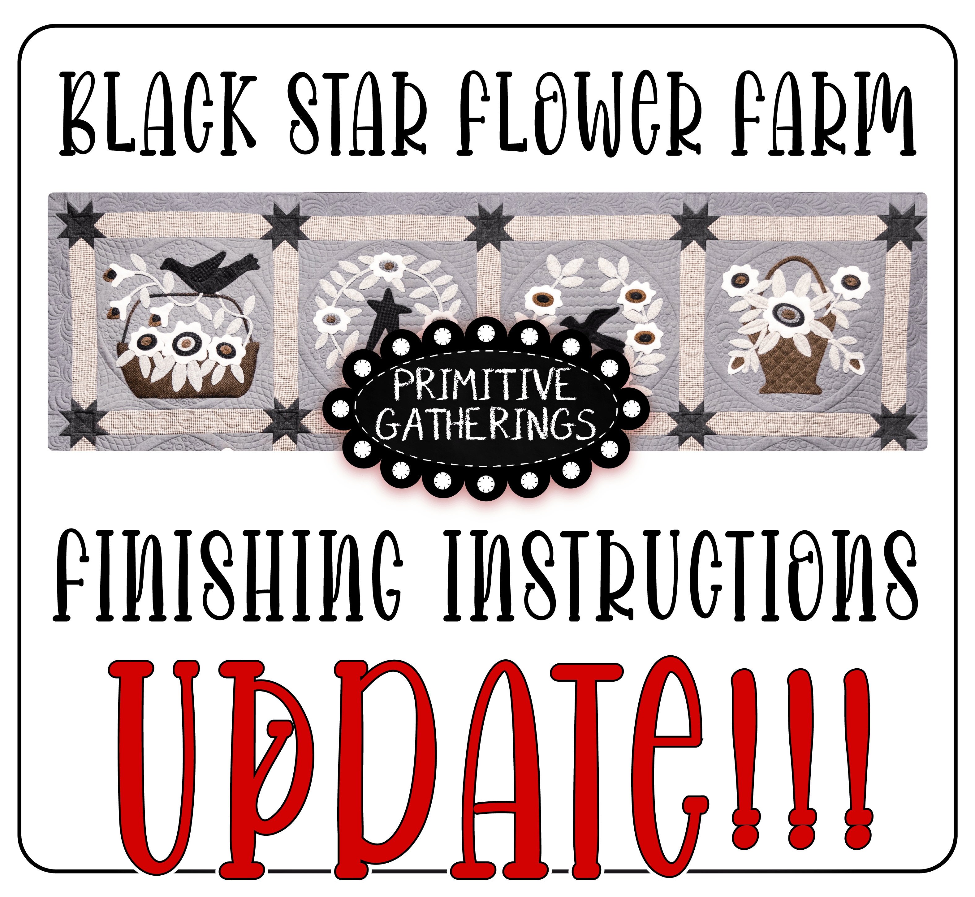 Black Star Flower Farm Update