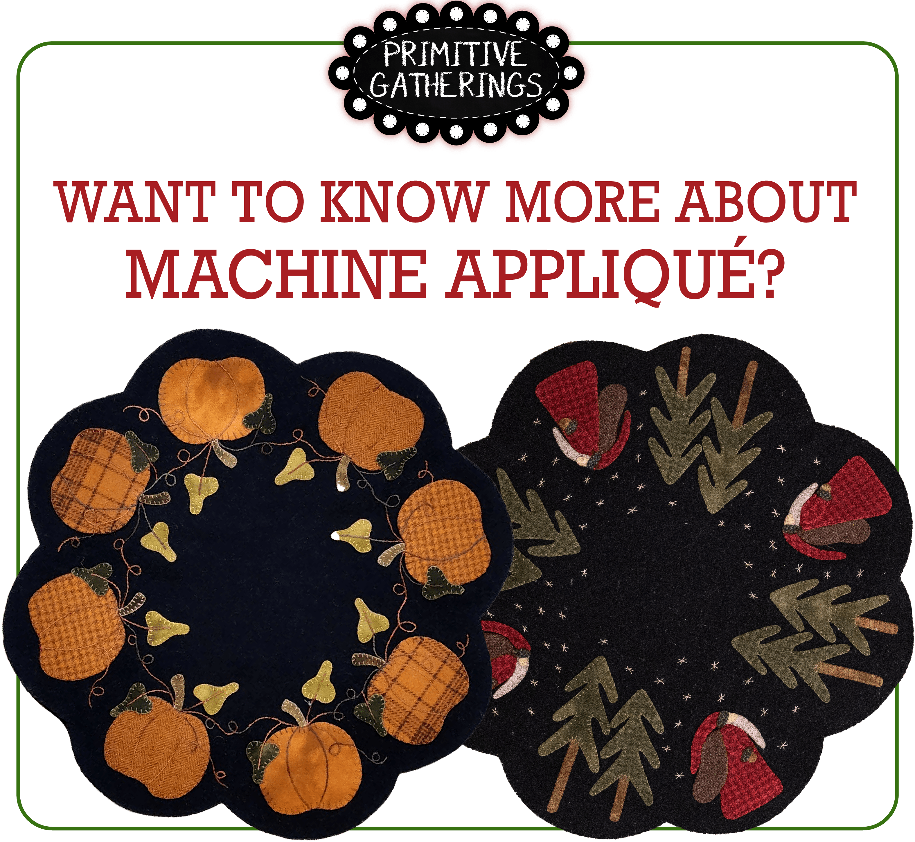 BERNINA Barb is At it Again!