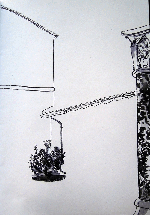 Dahlia from start to finish