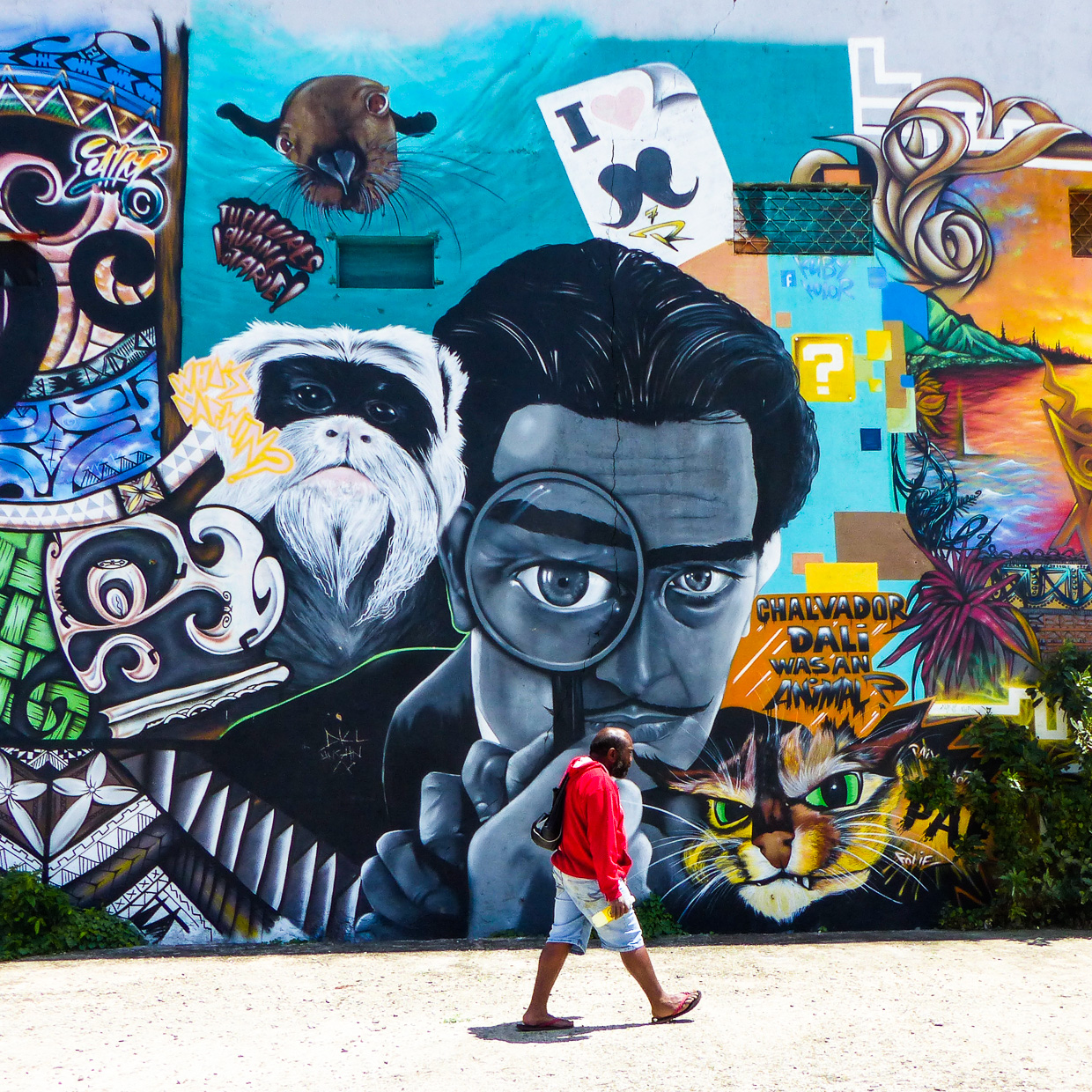 Eye Soy New Caledonia