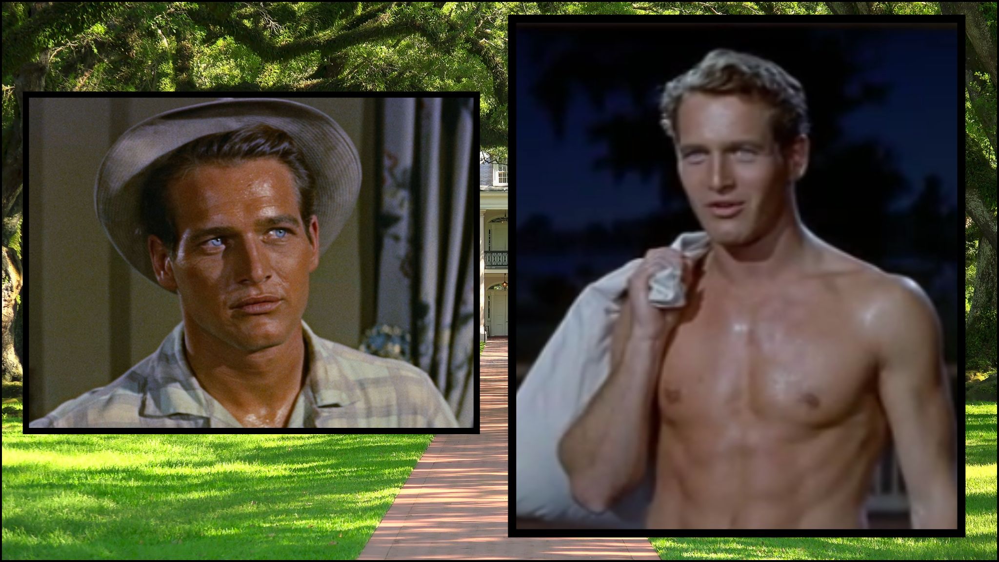Summer of Angela: The Long Hot Summer – Boondock Ramblings