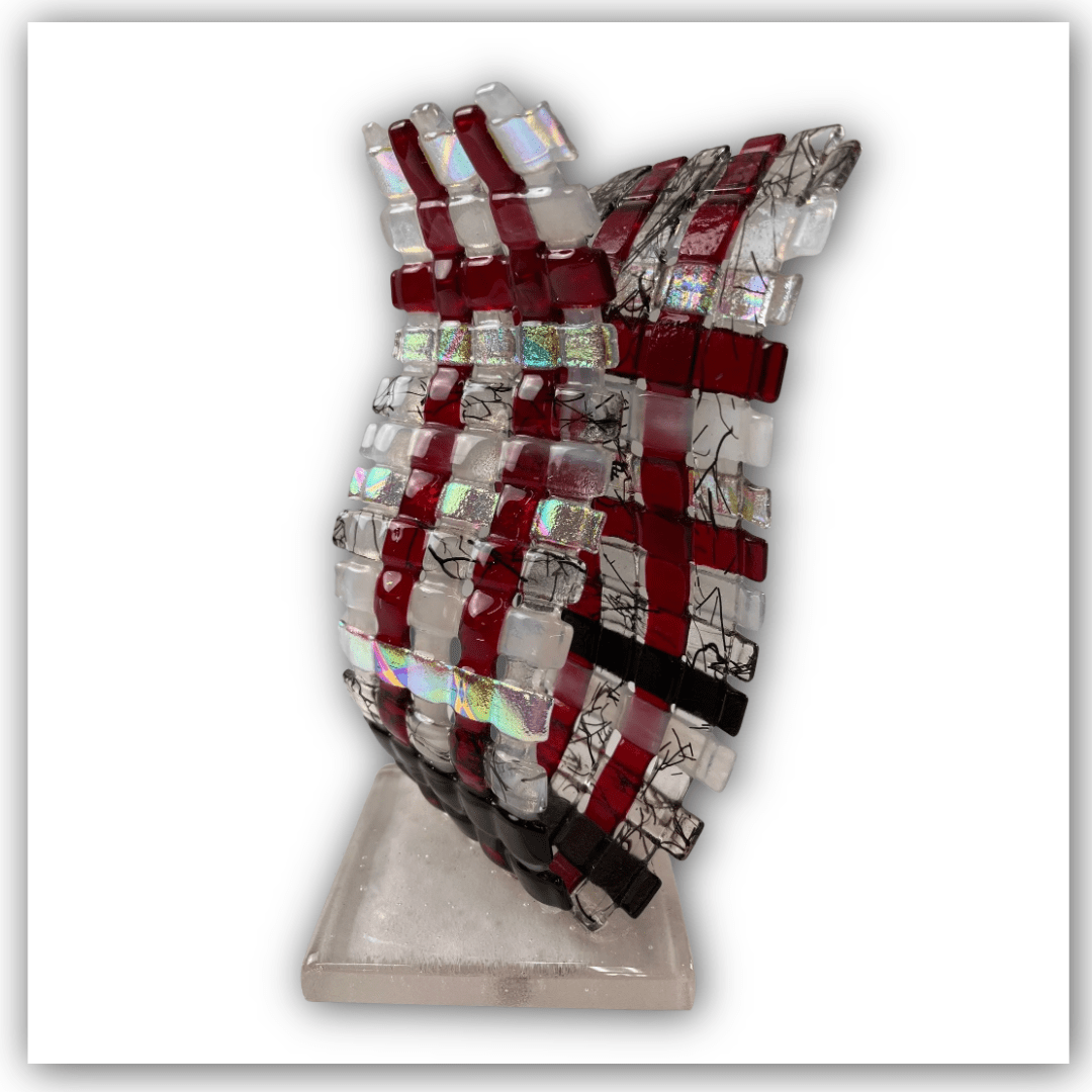 Single Project Video Downloads