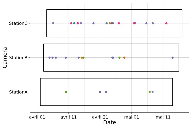 Visualize Camera Trap Data Camtrapviz - Premium Sunset Photo Gallery - High Resolution