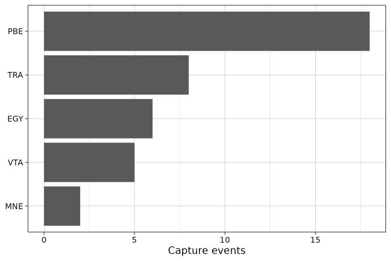 Visualize Camera Trap Data Camtrapviz - Best Gradient Wallpapers in Desktop