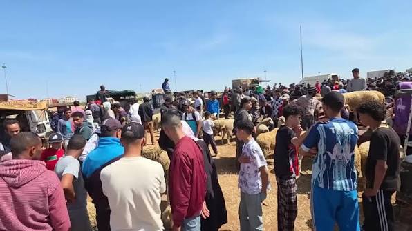 العيد بطعم القهر.. السماسرة يذبحون فرحة الفقراء قبل الأضاحي