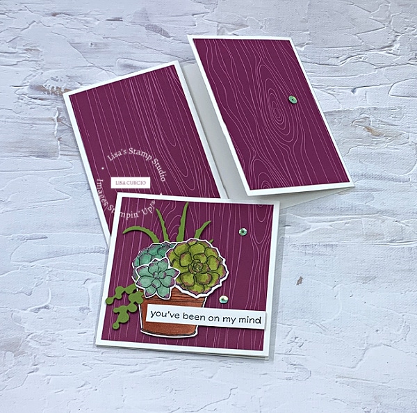 Slide and Lock Fun Fold Card