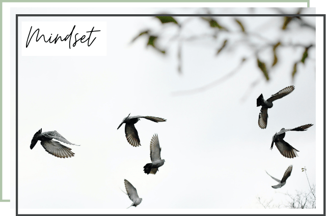 Mindset