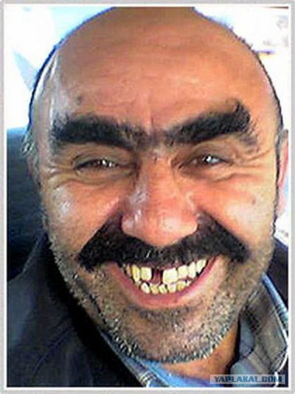 Jole Saci Doker Mi Akademi Sac Terapi