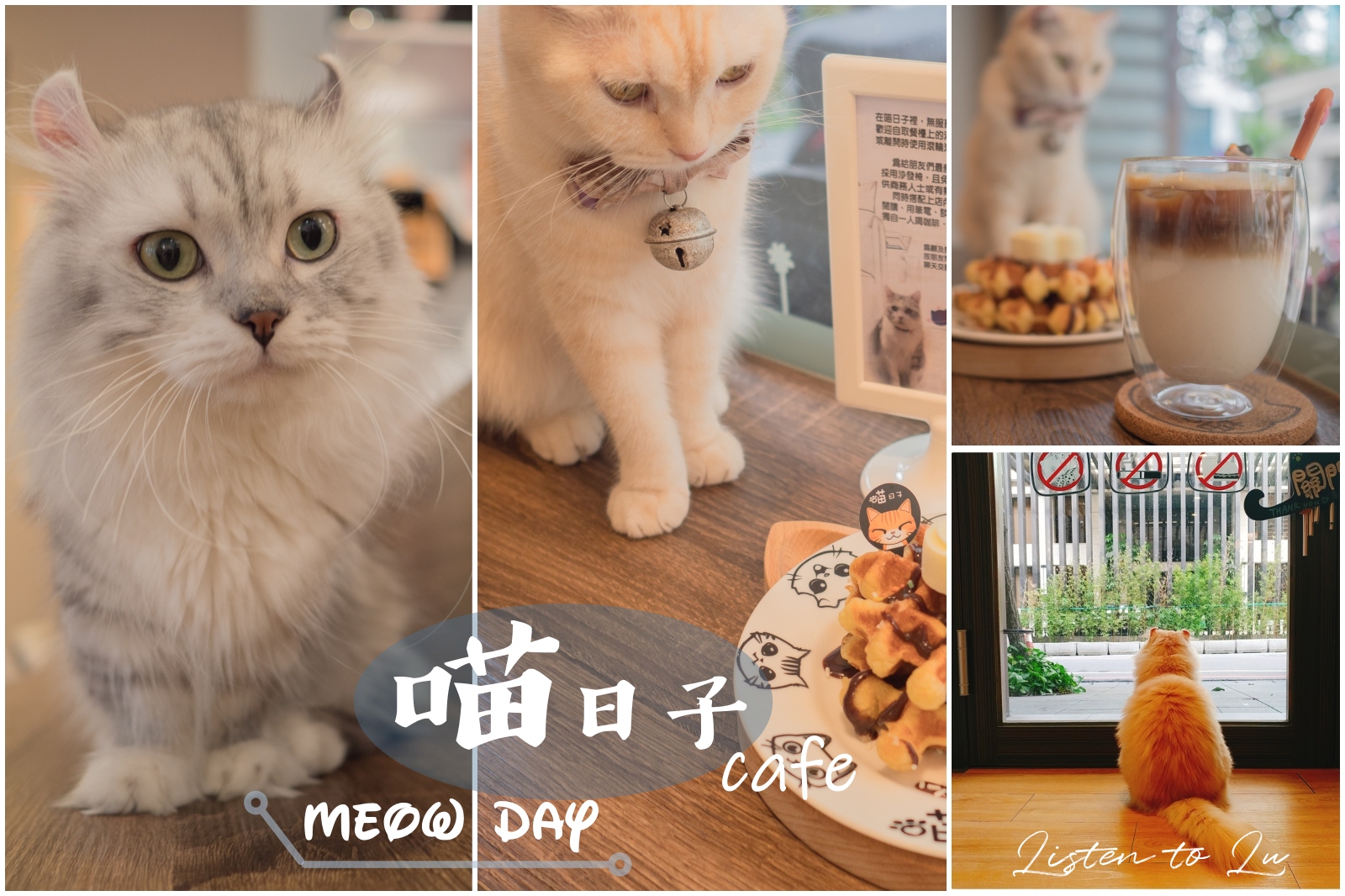 桃園不限時咖啡館｜【喵日子 Café】貓咪主題餐廳。可愛到融化的貓奴天堂