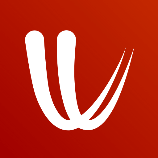 Windy.com v50.0.2 MOD APK (Premium Unlocked)