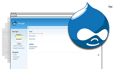 Drupal Hosting Plan