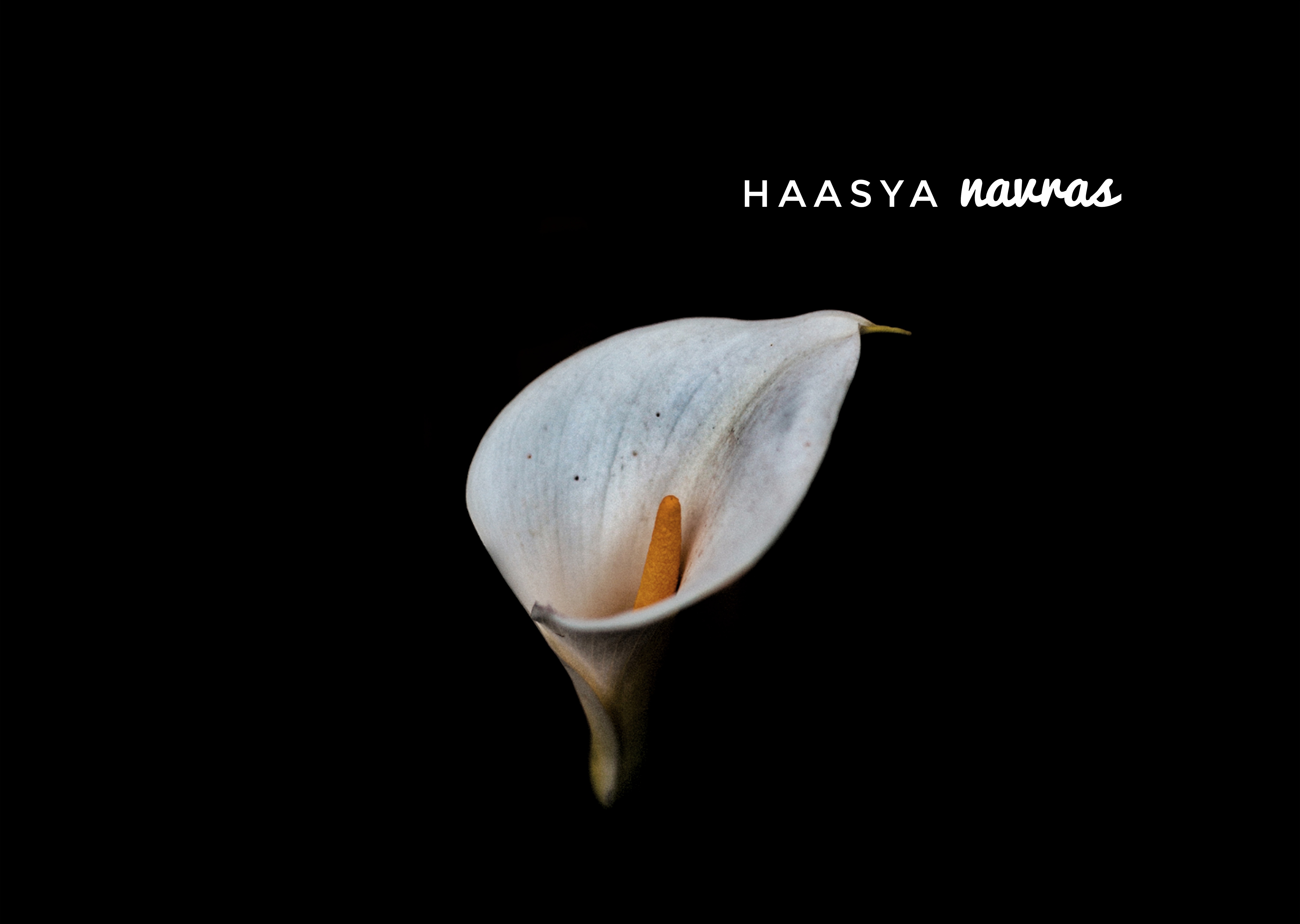 Navras Series - Haasya by Kaaya Faye