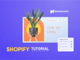 Shopify Tutorials 2026 A Step By Step Guide For Beginners