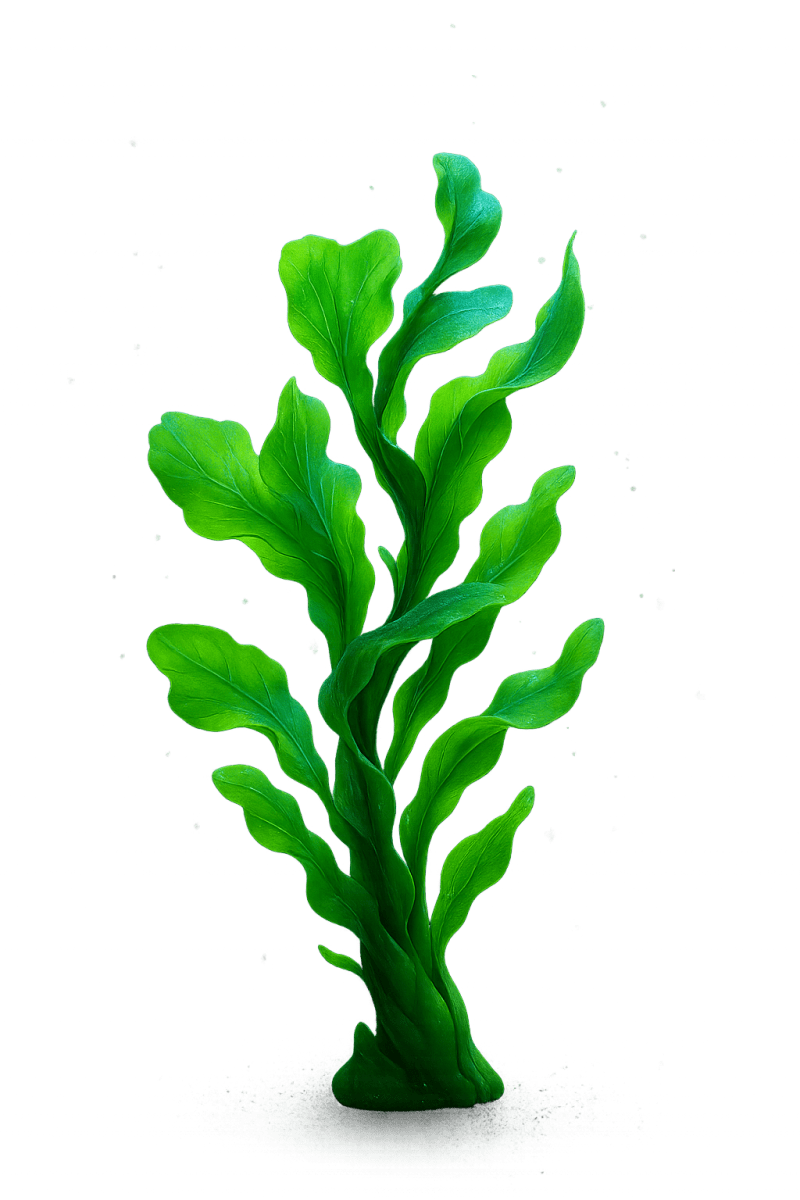 Github Andymcdgeo Force2020 Lith Prediction - Best Space Images in 4K