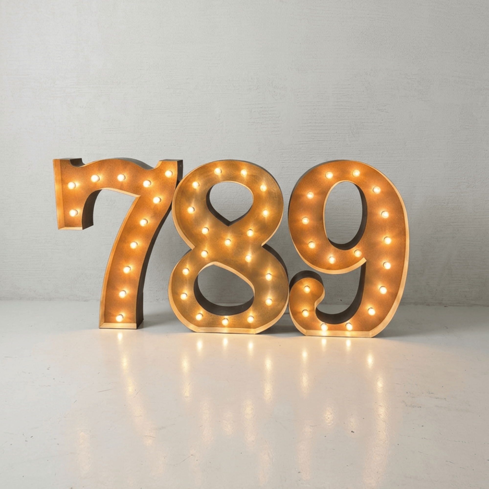 Custom Light up Numbers