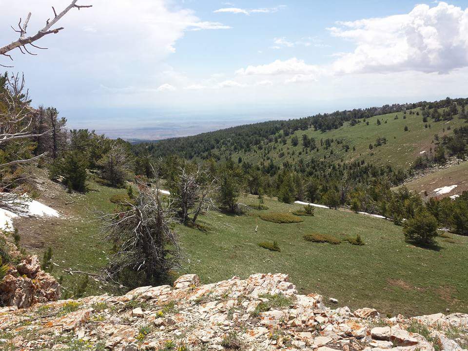 FB_IMG_1502576868019