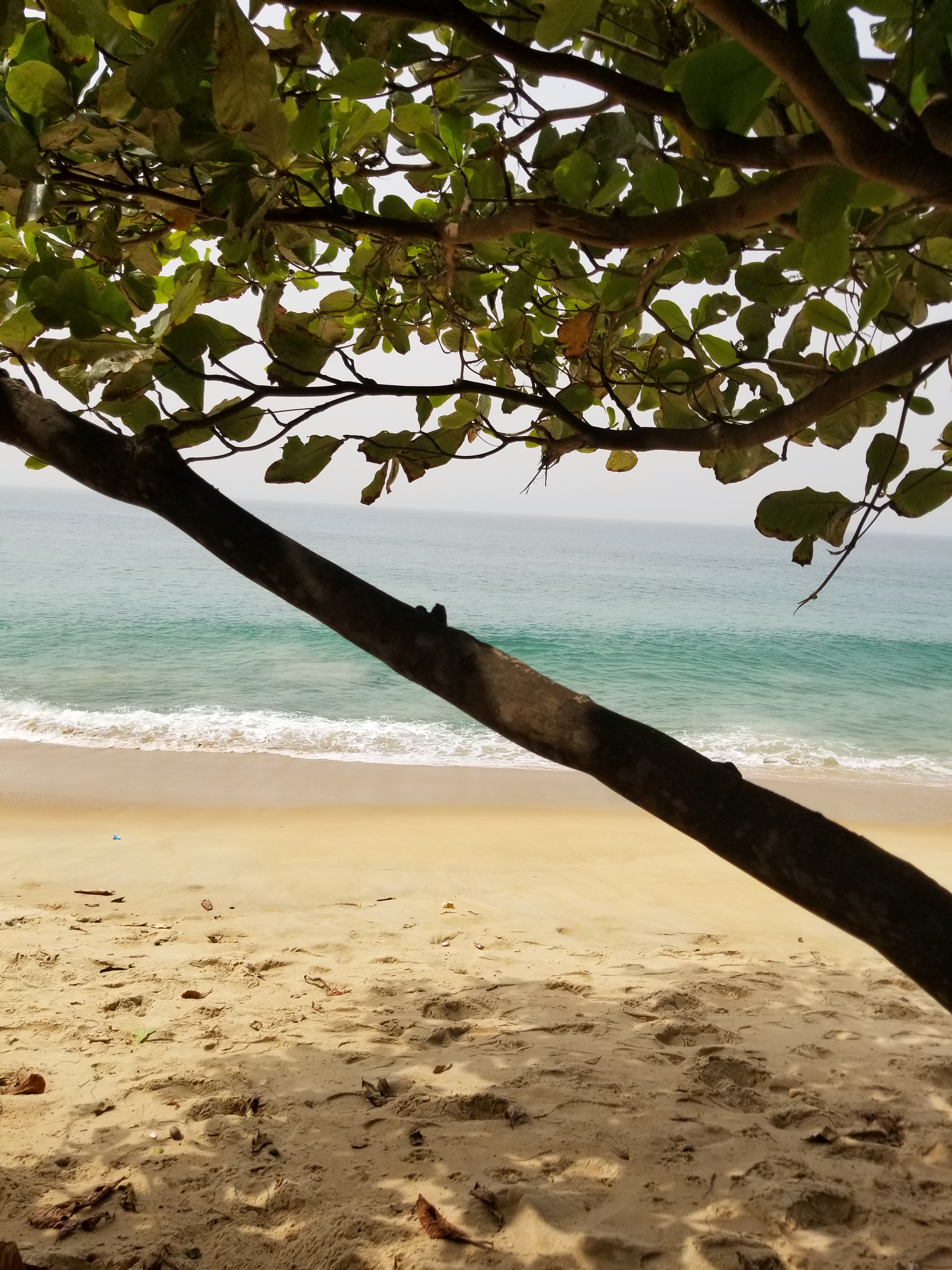 This spot. This view 😍