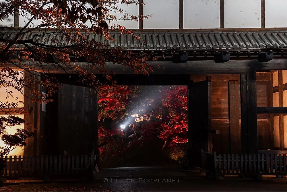 Hirosaki Castle Park-day and night-deep red autumn leaves in