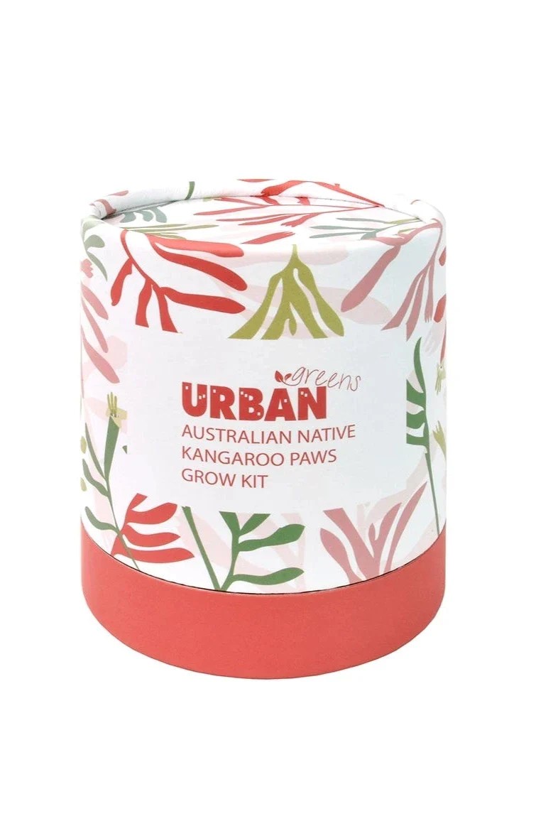 Kangaroo Paws Grow Kit Little Triffids Flowers