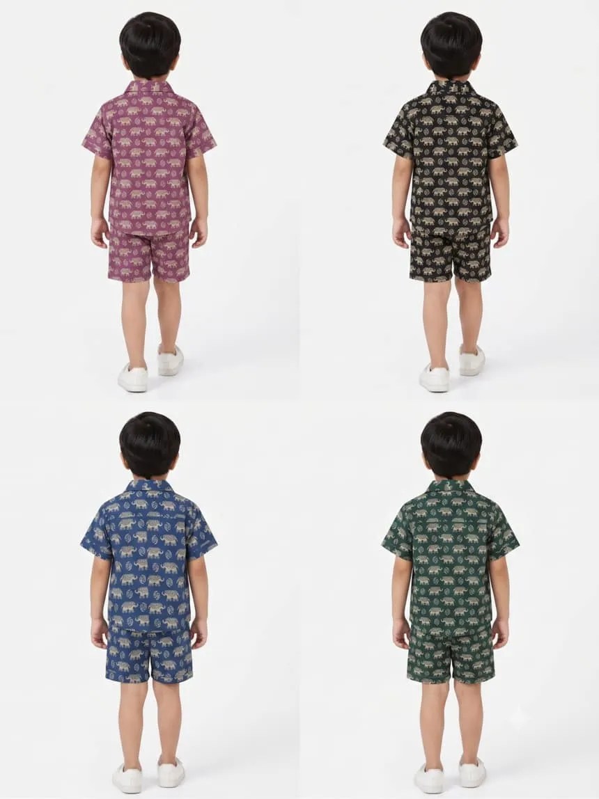 Kids Boys Elephant Print Green Cotton Co-Ord Set | Summer Wear | Cotton Printed Shirt and Shorts
