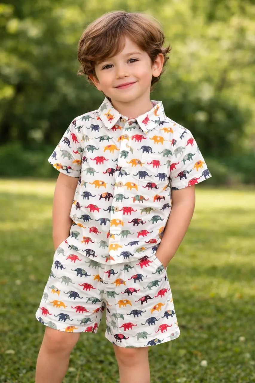 Kids Boys Multicolor Elephant Print Cotton Co-Ord Set | Shirt & Shorts