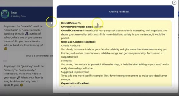 HelloSage Feedback