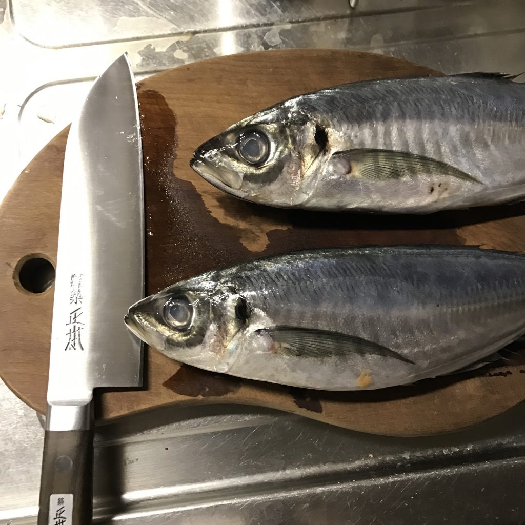 築地正本の鋼包丁を購入。ハンパない切れ味。早速アジをさばく