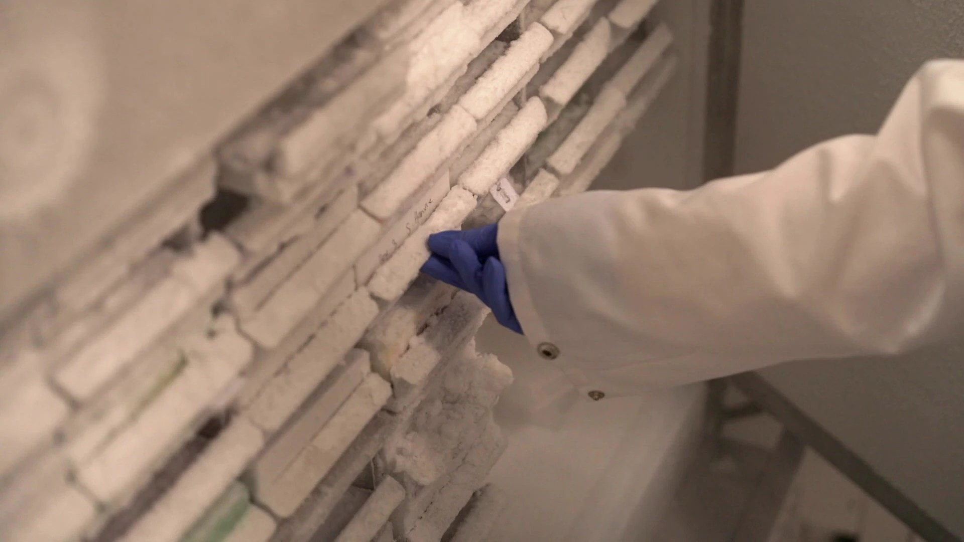 Growing Food in Space: The Future of Astronaut Nutrition (2026)