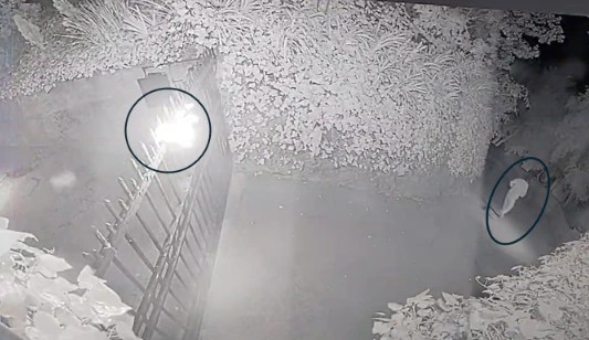 Attempted Murder Charge: Man Accused of Molotov Cocktail Attack on OpenAI CEO's Home (2026)