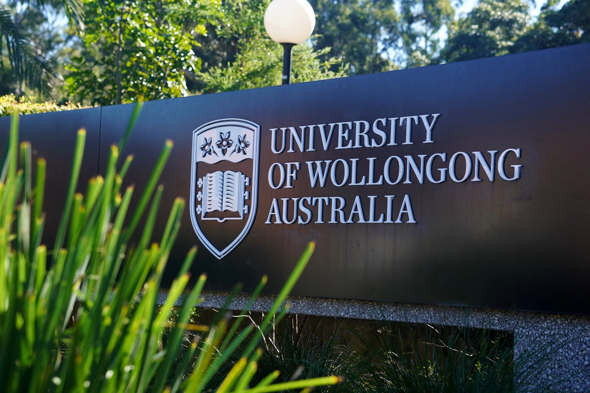 University of Wollongong Scandal: $400K Job, Conflicts, and Corruption (2026)