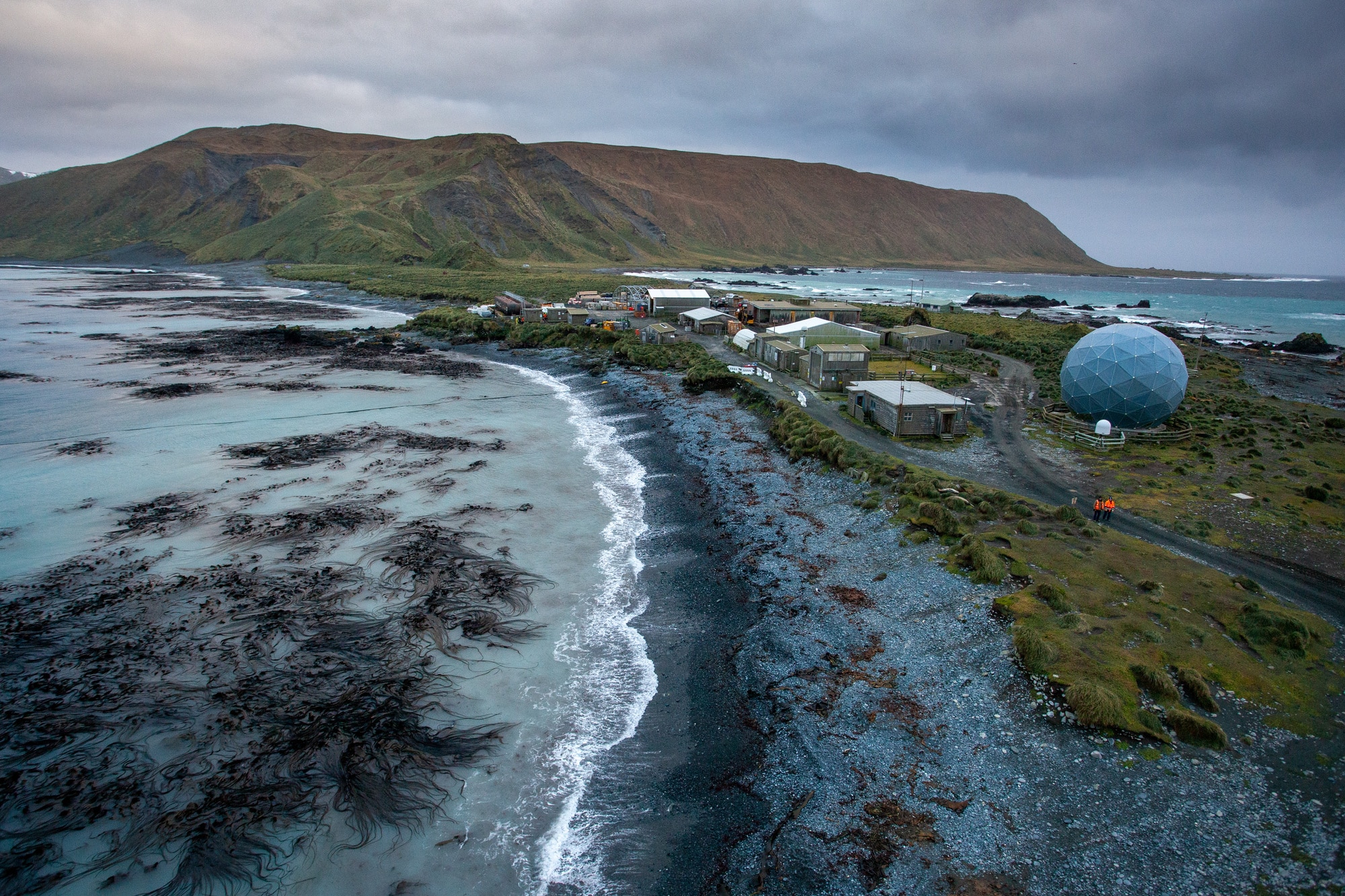 Australia Withdraws Staff from Macquarie Island Due to Bird Flu Risk (2026)