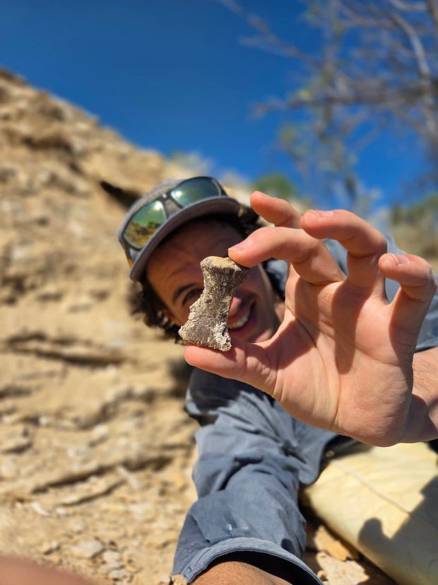 Firefighter's Fossil Find: Uncovering the Secrets of Ancient Dinosaurs (2026)
