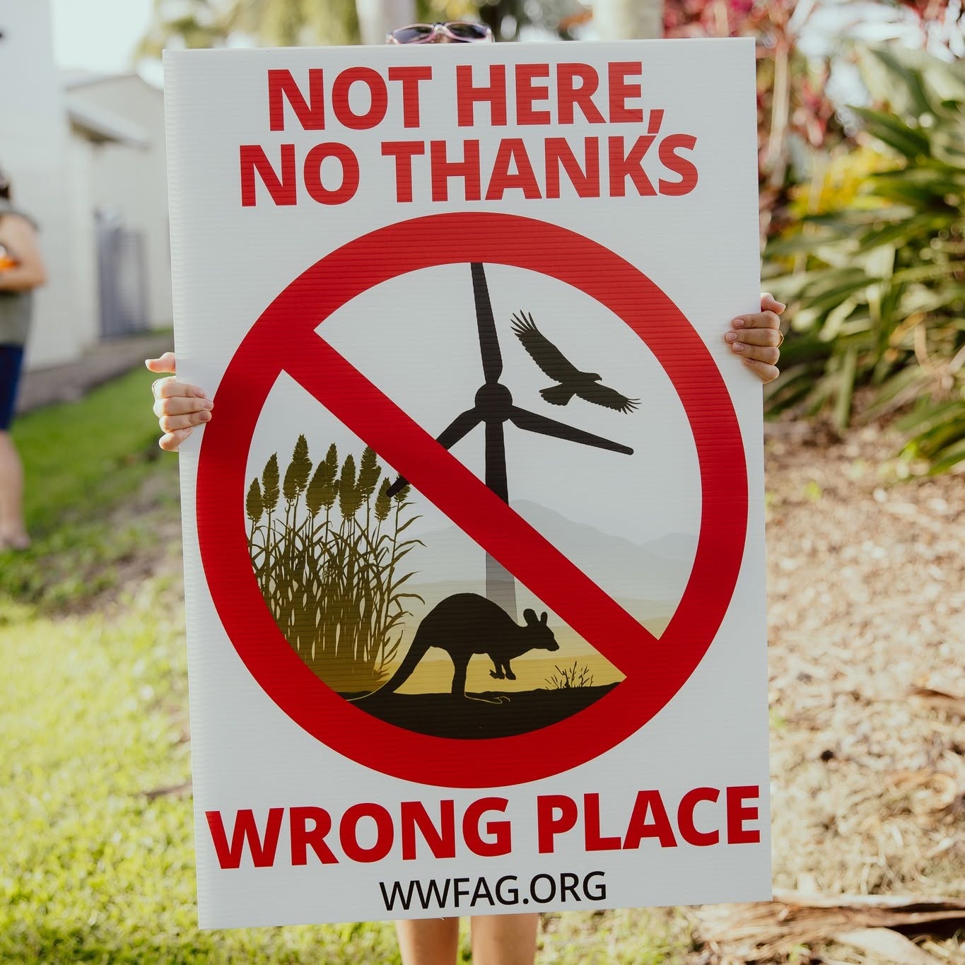 Whitsundays Wind Farm Plan Reduced: Community Wins Against Alinta Energy (2026)