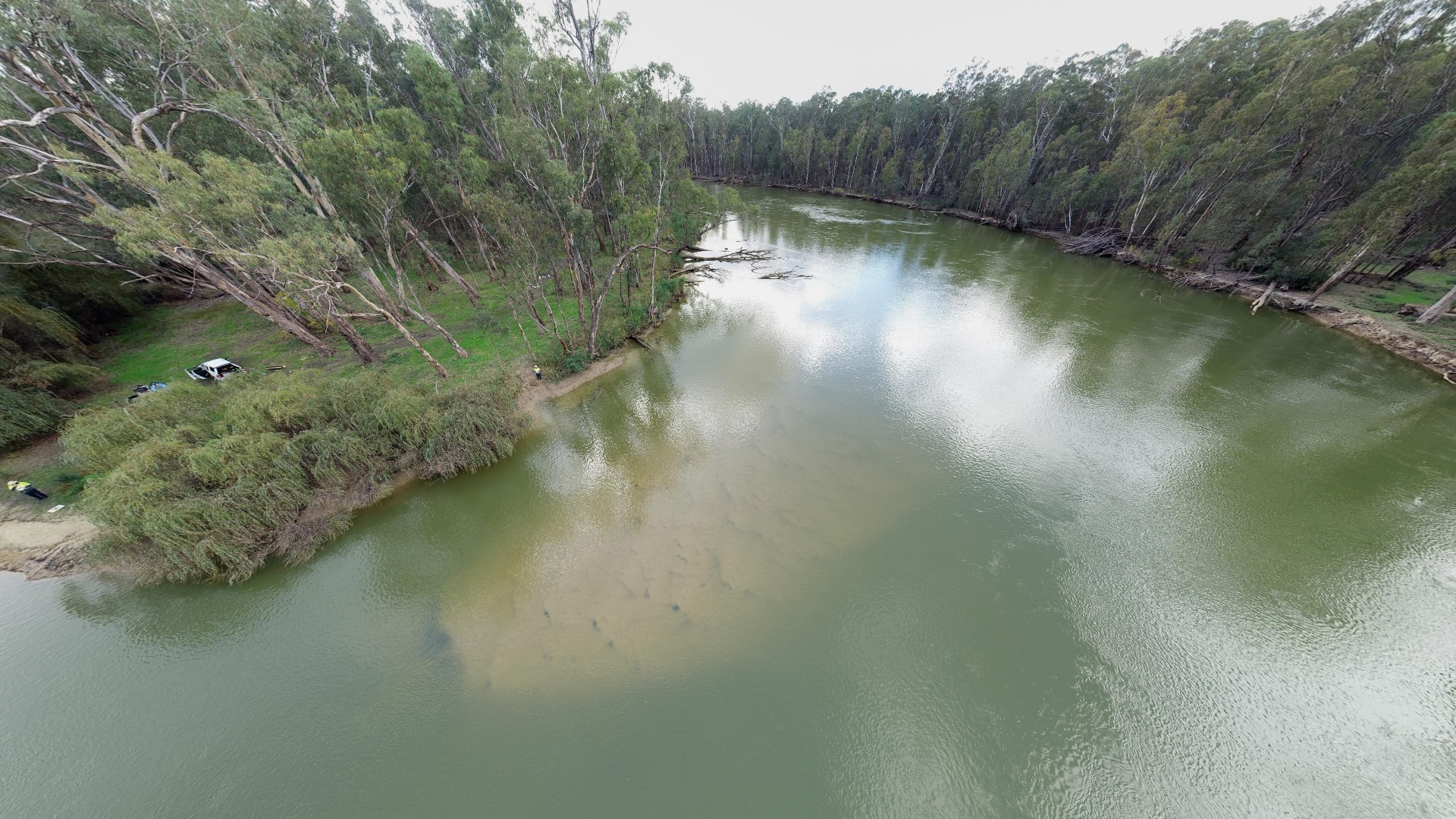 Barmah Sand Slug Crisis: Fixing the Murray River's Environmental Headache | Documentary (2026)
