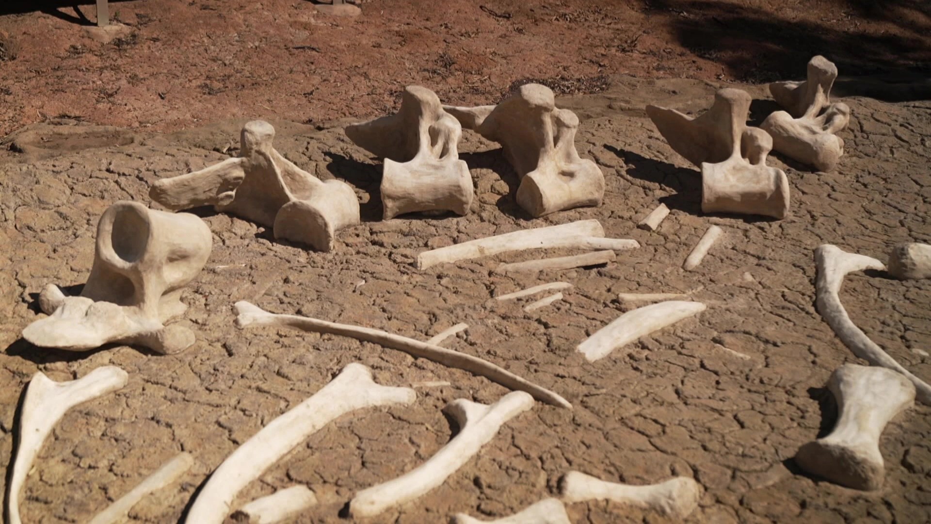 Prehistoric Past: Dinosaur Tourism in the Outback (2026)