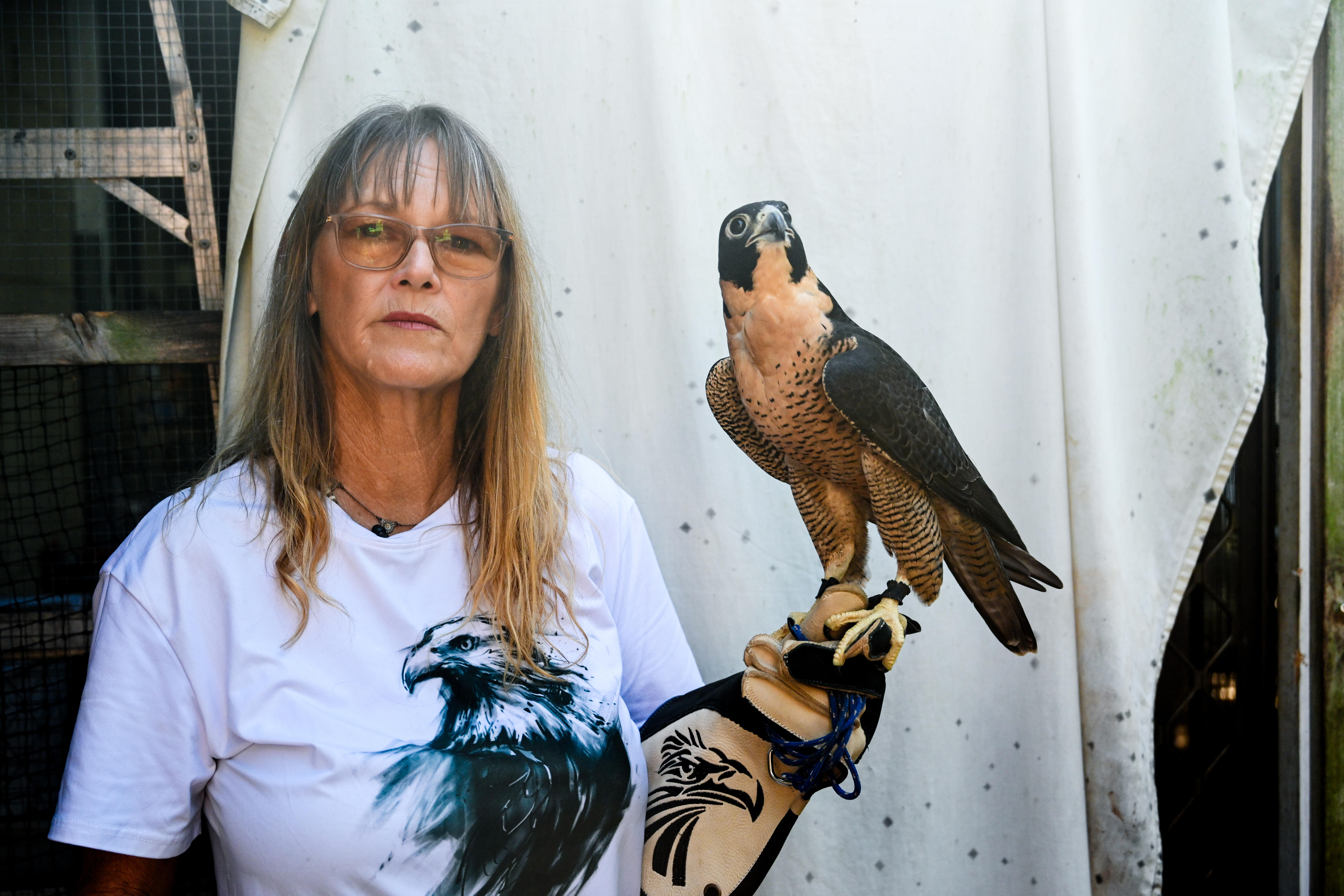 Bird of Prey Care: Deb Carter's Mission to Save Raptors from Avian Influenza (2026)