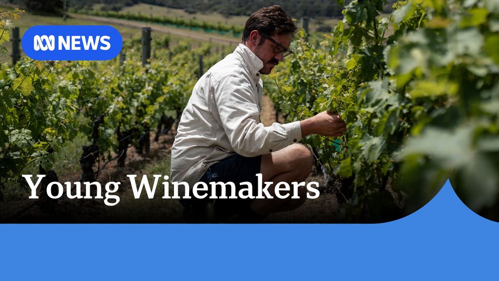 News From South Australia Abc Iview