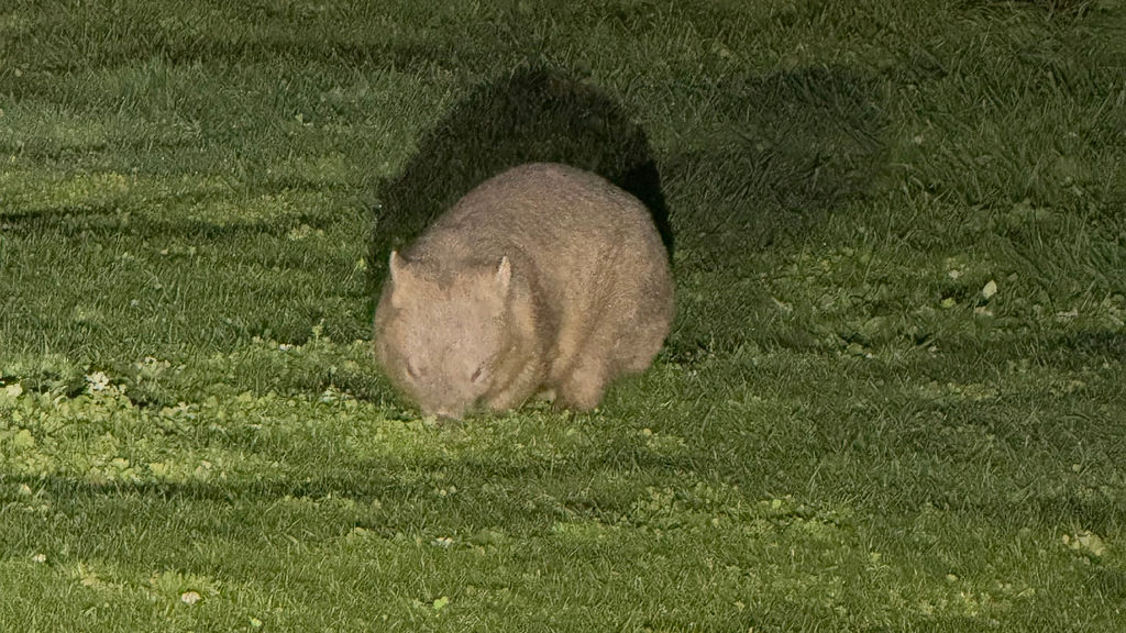 Environment Abc News - Download Premium Abstract Pattern | Full HD