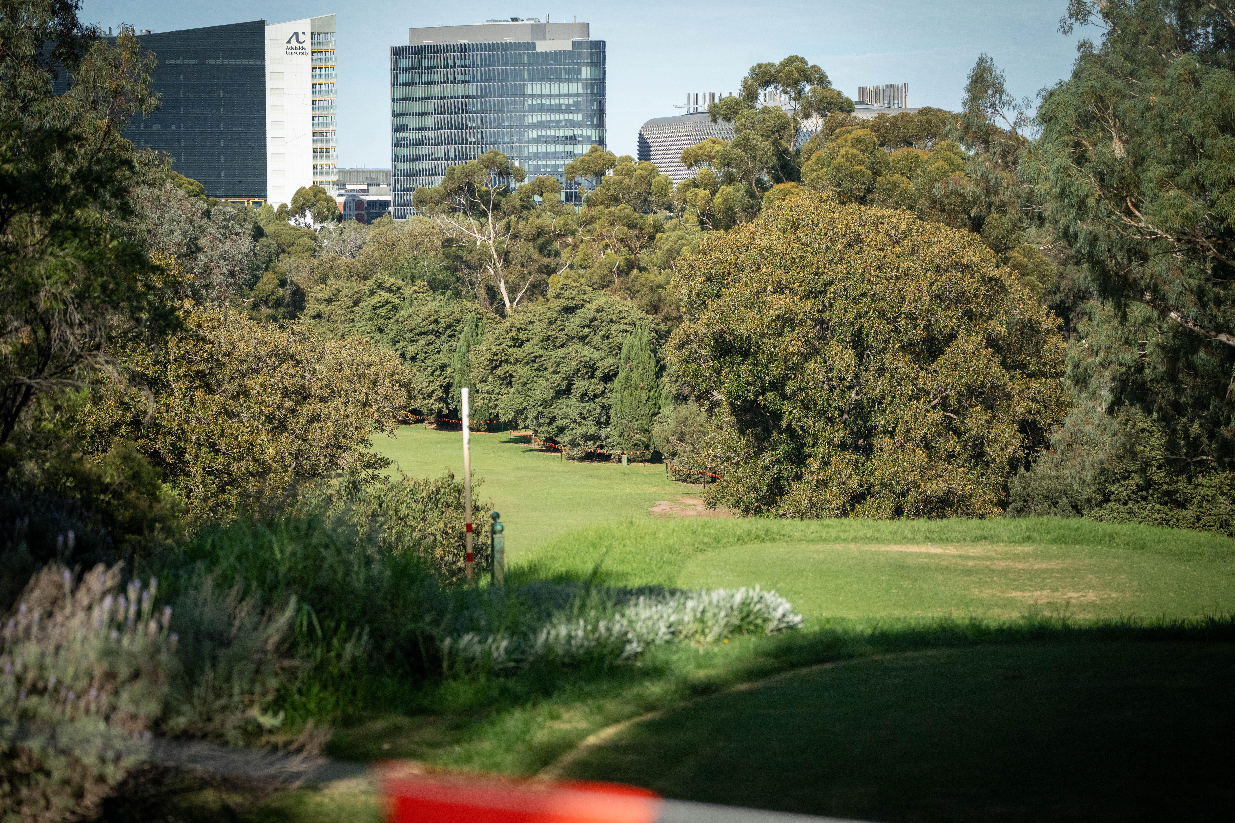Adelaide Secures Men's Australian Open Golf Amid LIV Uncertainty (2026)