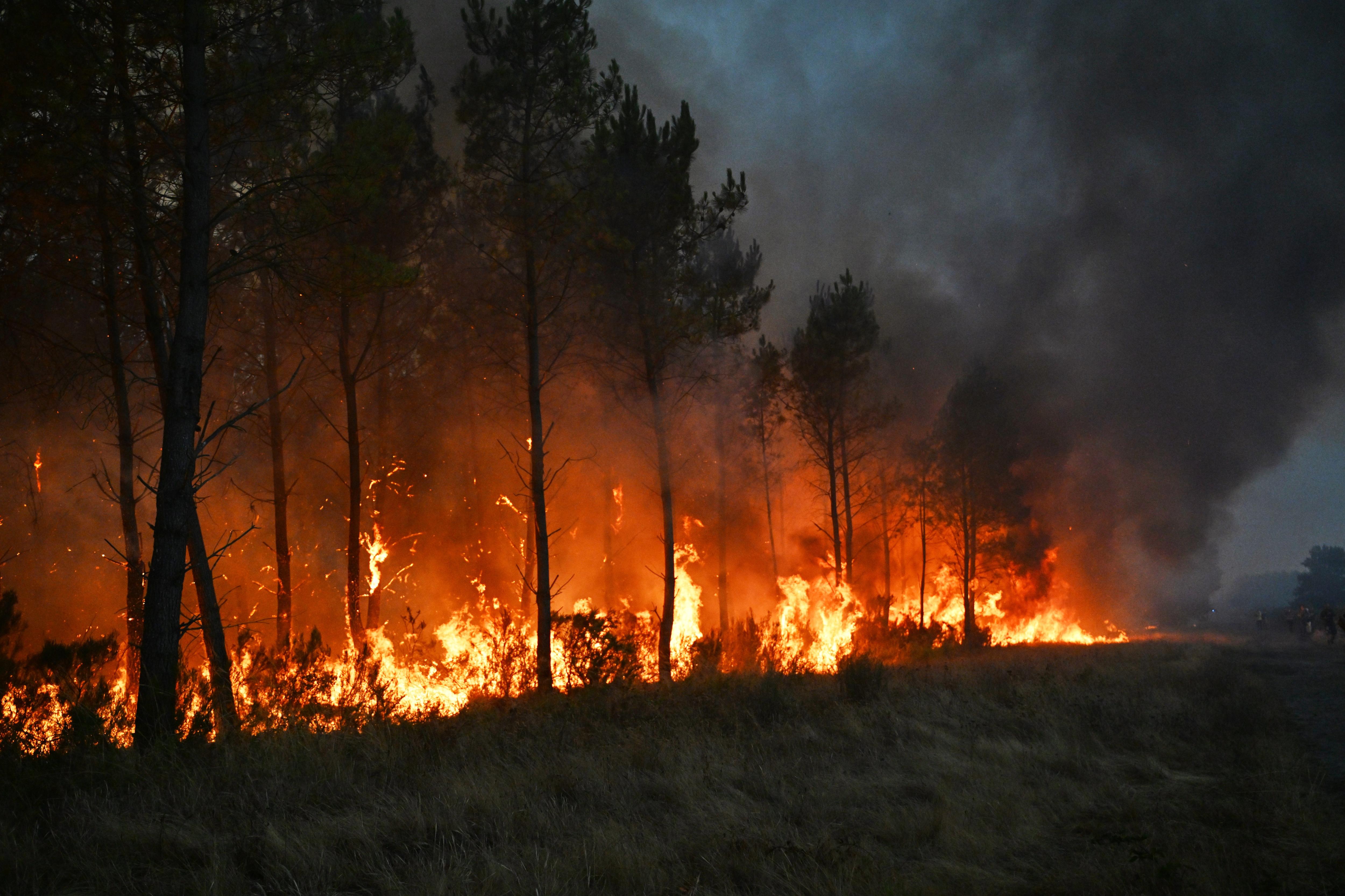 Wildfires Rage: Bordeaux's Wine Region Under Threat as France and Spain Fight Blazes (2026)