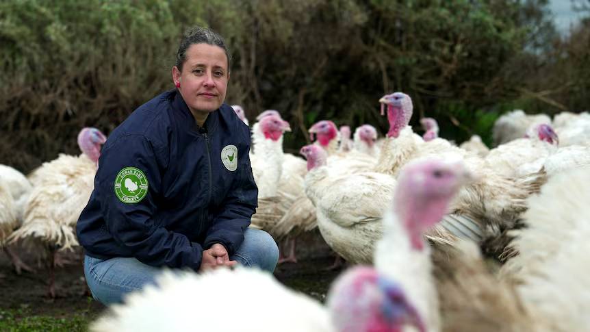 Bird Flu Threat Looms Over Australia's Free-Range Poultry Industry (2026)